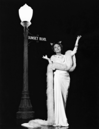 SUNSET BOULEVARD (Boulevard du crépuscule) - Billy Wilder (1950) avec Gloria Swanson